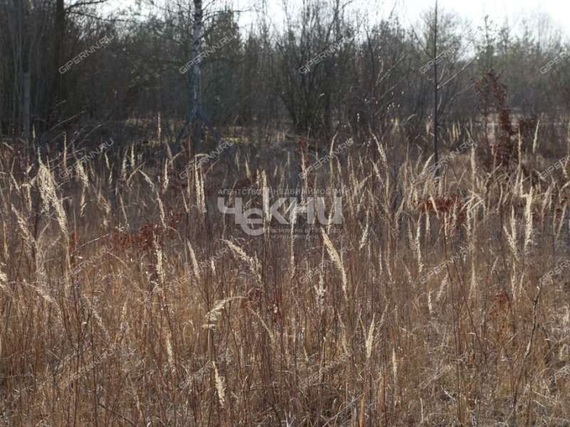 земельный участок 8,8 сотки село Безводное