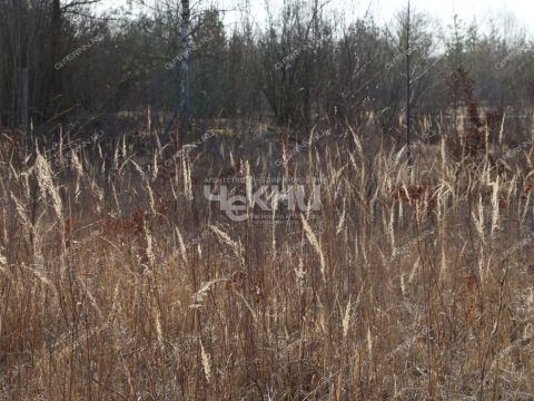 selo-bezvodnoe-kstovskiy-rayon фото