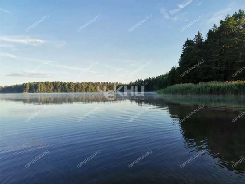 дом на Советской улице село Пустынь