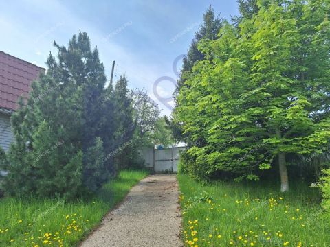 dom-derevnya-trestyany-bogorodskiy-municipalnyy-okrug фото