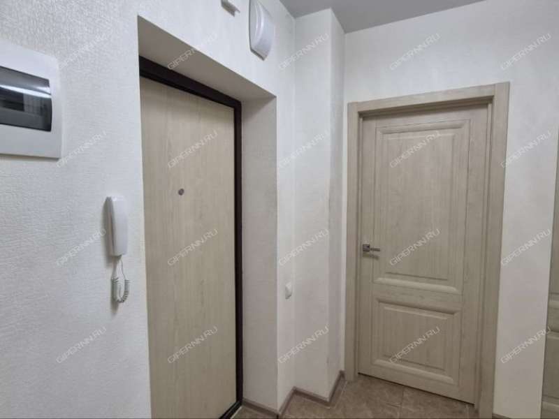 двухкомнатная квартира на Русской улице улице дом 9 деревня Анкудиновка