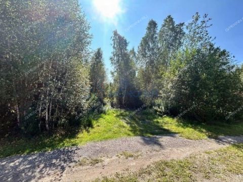 rabochiy-poselok-lukino-balahninskiy-municipalnyy-okrug фото