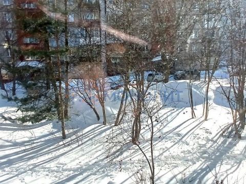 1-komnatnaya-ul-germana-lopatina-d-11 фото