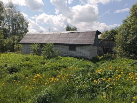 derevnya-kopnino-bogorodskiy-municipalnyy-okrug фото