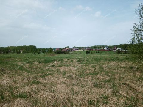 derevnya-nepecino-bogorodskiy-municipalnyy-okrug фото