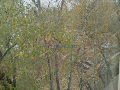 1-komnatnaya-ul-avangardnaya-d-14 фото