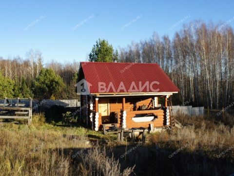 dom-derevnya-shhepachiha-pavlovskiy-municipalnyy-okrug фото