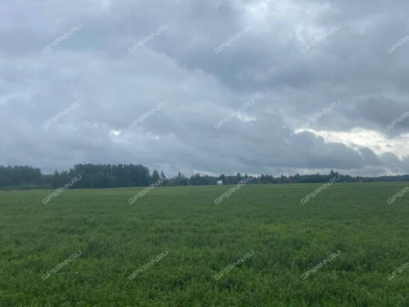 земельный участок под сельхоз назначение в Богородском районе Нижегородской области