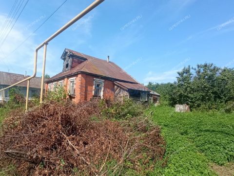 selo-doskino-bogorodskiy-municipalnyy-okrug фото