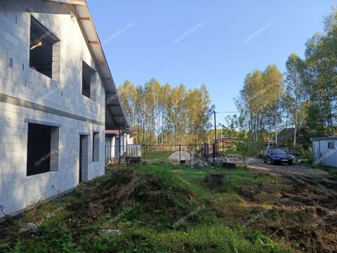 dom-derevnya-berezovka-bogorodskiy-municipalnyy-okrug фото