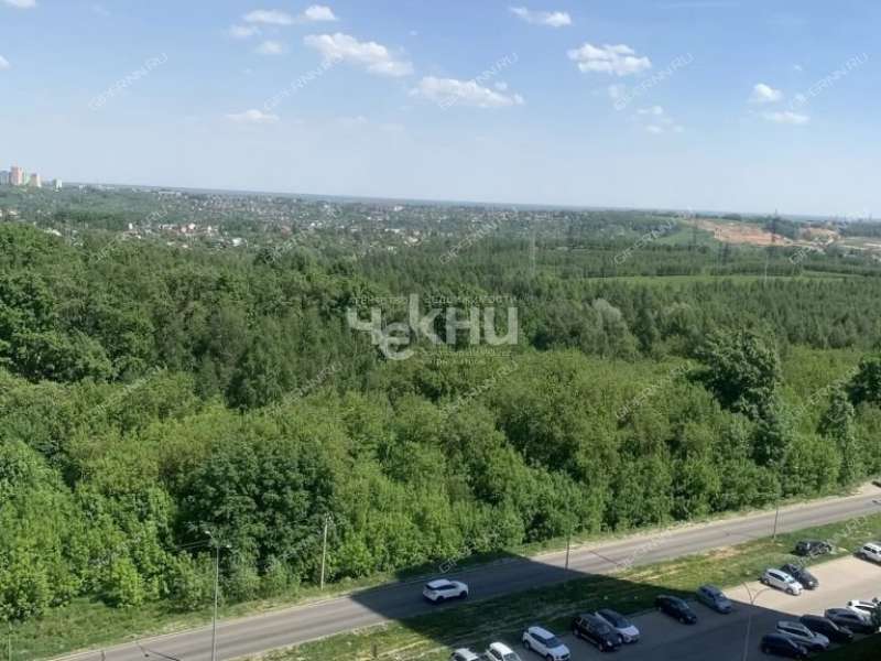 двухкомнатная квартира на Русской улице улице дом 11 деревня Анкудиновка