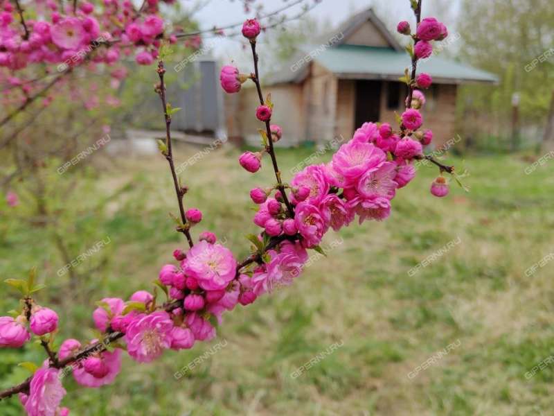 дом на Колхозной улице село Крутой Майдан