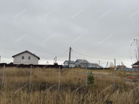 selo-efimevo-bogorodskiy-municipalnyy-okrug фото