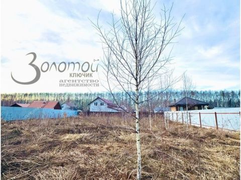 derevnya-shumilovo-bogorodskiy-municipalnyy-okrug фото