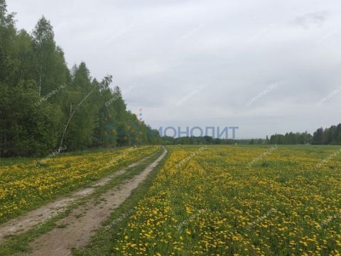 derevnya-bugry-dalnekonstantinovskiy-rayon фото