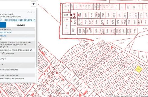 Кадастровая карта нижегородской области богородский район поселок буревестник