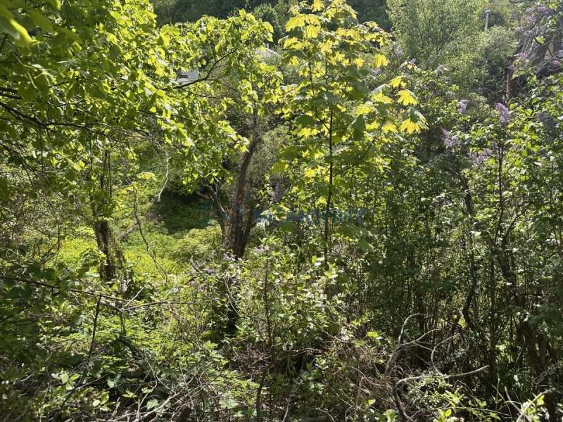 дом на улице Зеленая село Безводное