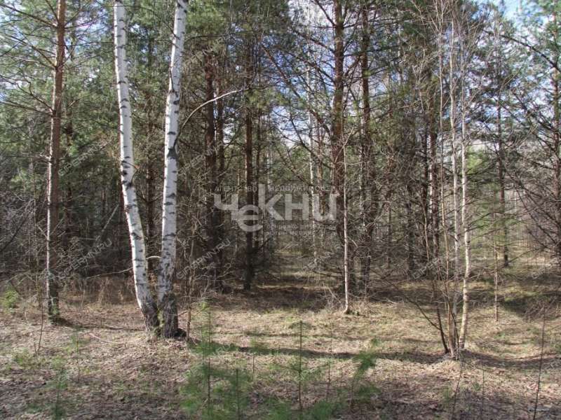 земельный участок 10,6 сотки Тенистая деревня Кудрино