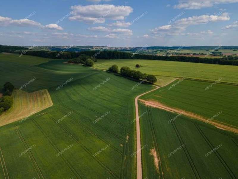 земельный участок 10 соток посёлок Ляхово