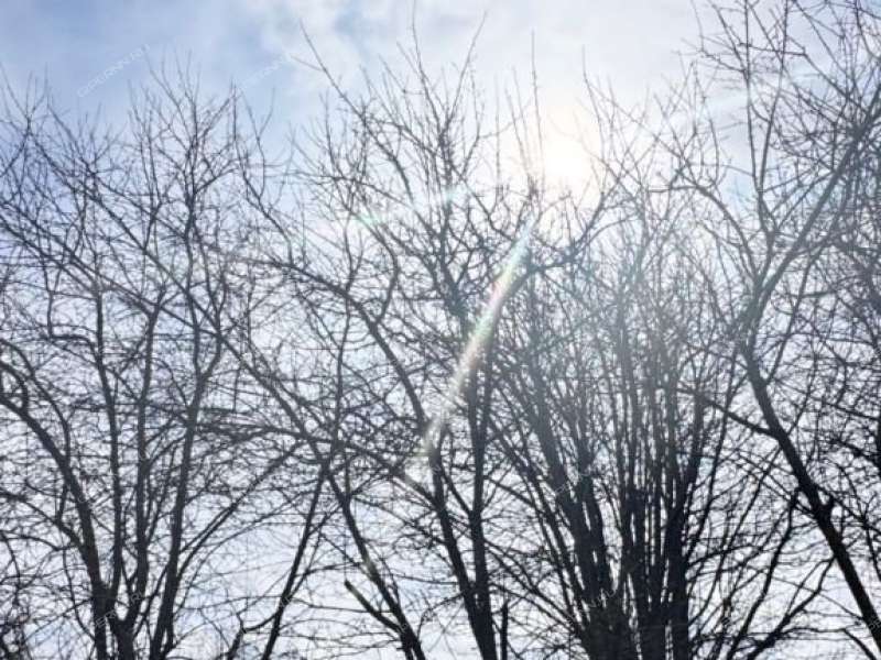 трёхкомнатная квартира на улице 40 лет Победы дом 21 деревня Солонское