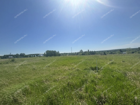 derevnya-kremenki-dalnekonstantinovskiy-rayon фото