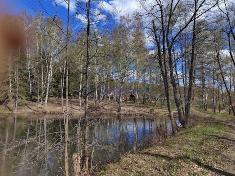 dacha-derevnya-shoniha-bogorodskiy-municipalnyy-okrug фото