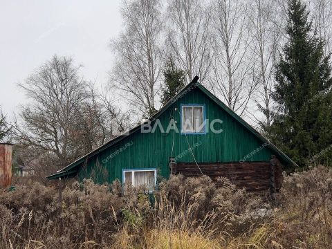 dacha-derevnya-zavrazhnoe-zinyakovskiy-selsovet-gorodeckiy-rayon фото