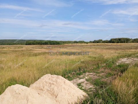 derevnya-kubaevo-bogorodskiy-municipalnyy-okrug фото