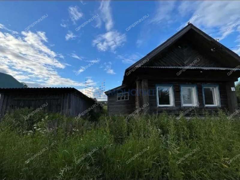 дом на Центральной улице деревня Каменник