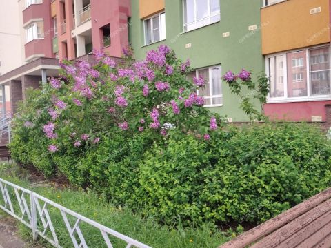 1-komnatnaya-ul-pervocvetnaya-d-4-k2 фото