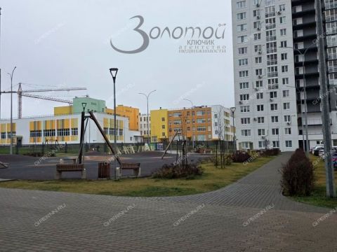 3-komnatnaya-derevnya-ankudinovka-kstovskiy-rayon фото