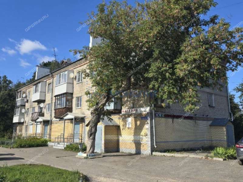 однокомнатная квартира на Карповской улице дом 1