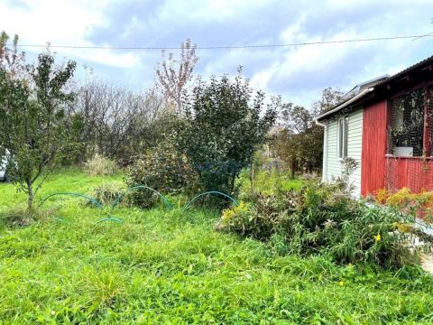 dacha-zarechnoe-derevnya-zelecino-ter-snt-kstovskiy-rayon фото