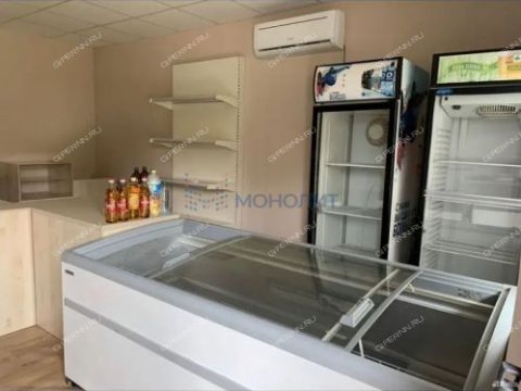 derevnya-lapshiha-dalnekonstantinovskiy-rayon фото