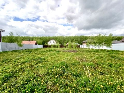 derevnya-shumilovo-bogorodskiy-municipalnyy-okrug фото