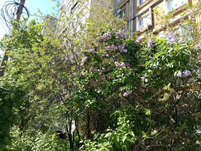 двухкомнатная квартира на Красносельской улице дом 2