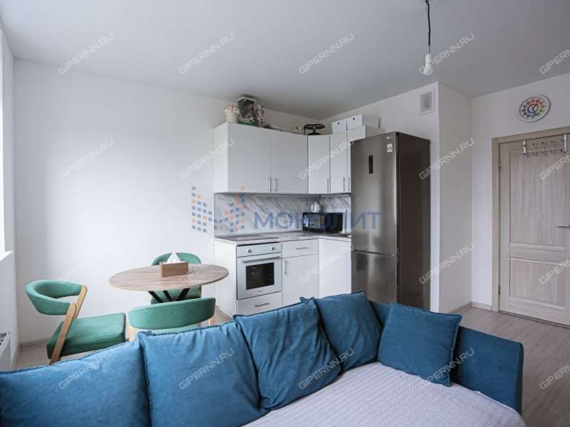 однокомнатная квартира на Черкесской улице дом 2 деревня Анкудиновка