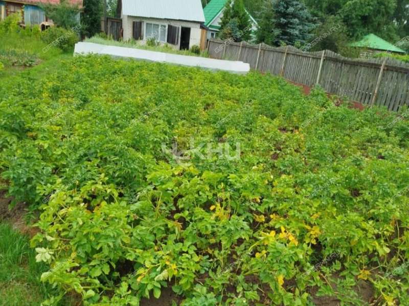 дача на Дорожной улице город Городец