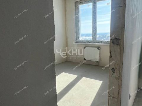 1-komnatnaya-derevnya-afonino-kstovskiy-rayon фото