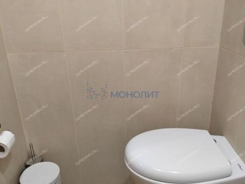 taunhaus-sl-verhnepecherskaya-d-118-1 фото