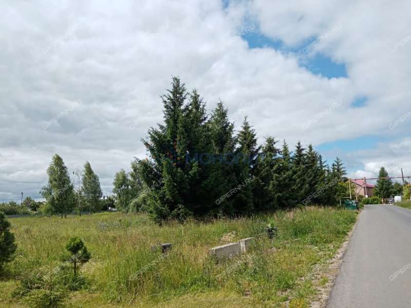 земельный участок 7,5 сотки Пригородная улица деревня Высоково