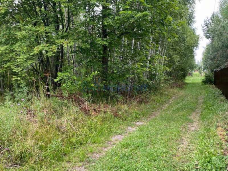 земельный участок под сельхоз назначение в Богородском районе Нижегородской области