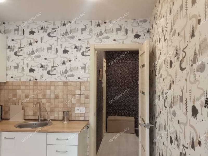 двухкомнатная квартира на улице Максима Горького дом 234