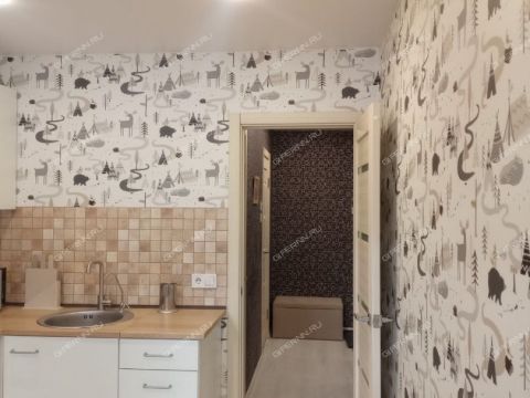 2-komnatnaya-ul-maksima-gorkogo-d-234 фото