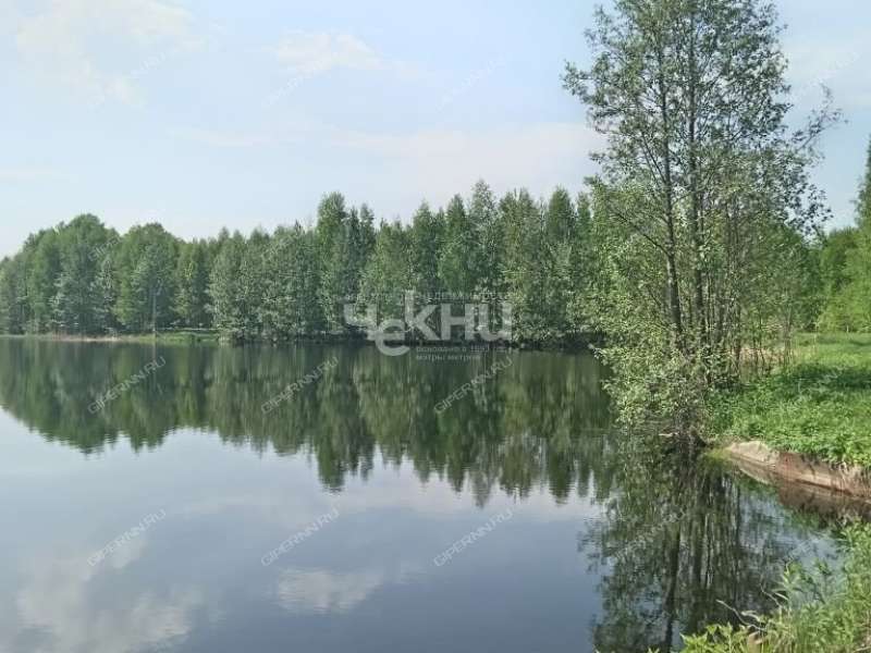1/2 дома на Дачной улице рабочий посёлок Лукино