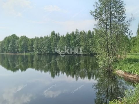 1-2-doma-rabochiy-poselok-lukino-balahninskiy-municipalnyy-okrug фото