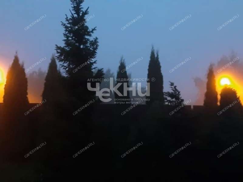 коттедж в Александровской слободе