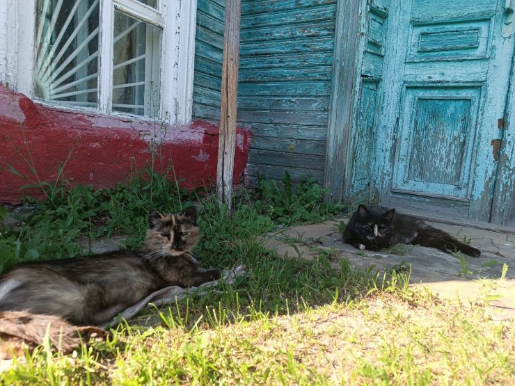 Фото: Валерия Ложкина / gipernn.ru