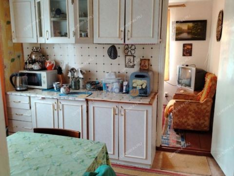 dacha-derevnya-inyutino-bogorodskiy-municipalnyy-okrug фото