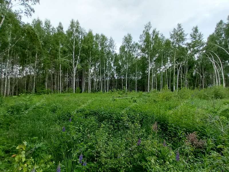 земельный участок 15 соток СНТ Ясная поляна